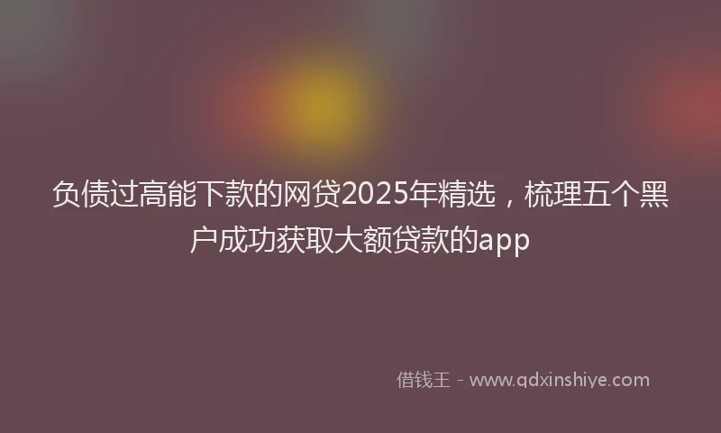 负债过高能下款的网贷2025年精选，梳理五个黑户成功获取大额贷款的app