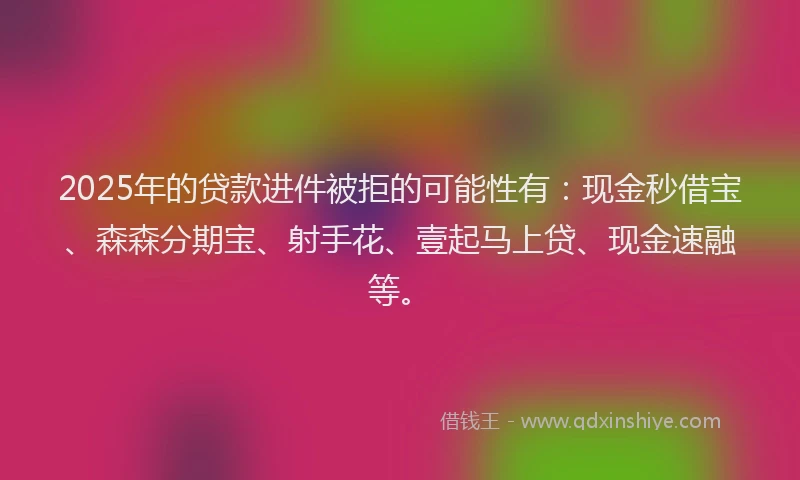 2025年的贷款进件被拒的可能性有：现金秒借宝、森森分期宝、射手花、壹起马上贷、现金速融等。