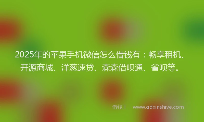 2025年的苹果手机微信怎么借钱有：畅享租机、开源商城、洋葱速贷、森森借呗通、省呗等。