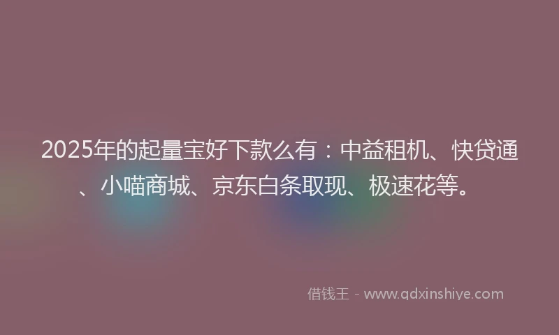 2025年的起量宝好下款么有：中益租机、快贷通、小喵商城、京东白条取现、极速花等。