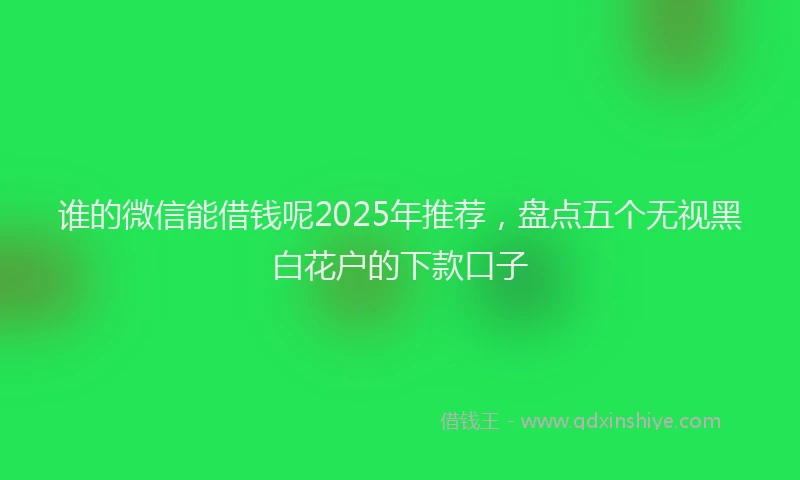 谁的微信能借钱呢2025年推荐，盘点五个无视黑白花户的下款口子