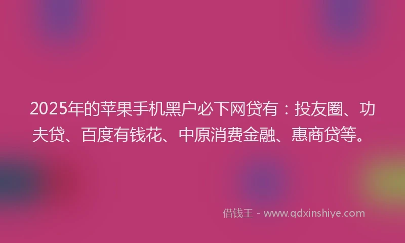 2025年的苹果手机黑户必下网贷有：投友圈、功夫贷、百度有钱花、中原消费金融、惠商贷等。