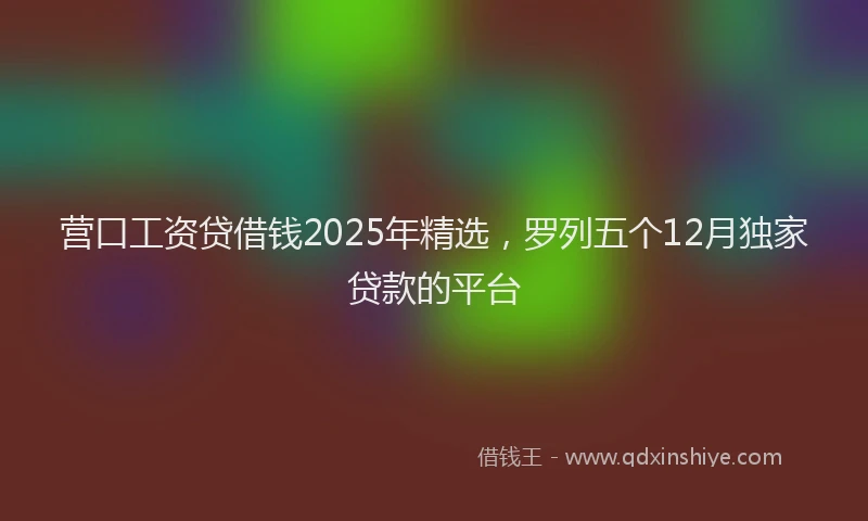 营口工资贷借钱2025年精选，罗列五个12月独家贷款的平台