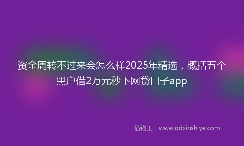资金周转不过来会怎么样2025年精选，概括五个黑户借2万元秒下网贷口子app