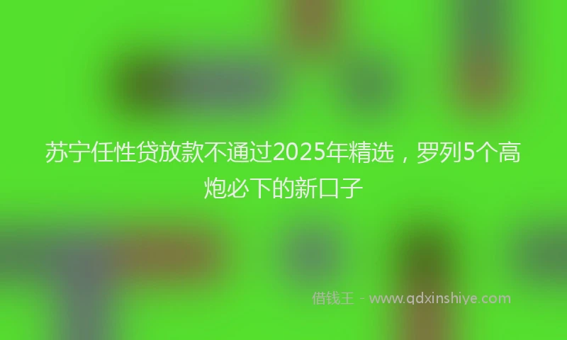 苏宁任性贷放款不通过2025年精选，罗列5个高炮必下的新口子