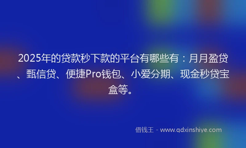 2025年的贷款秒下款的平台有哪些有：月月盈贷、甄信贷、便捷Pro钱包、小爱分期、现金秒贷宝盒等。