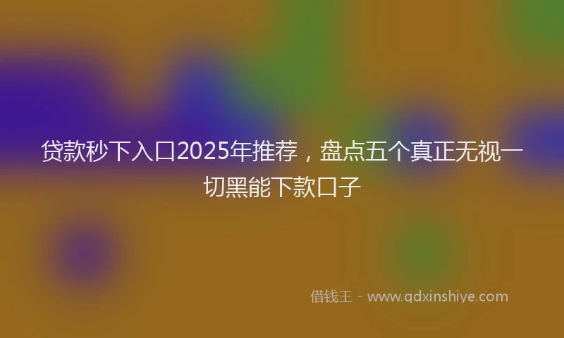 贷款秒下入口2025年推荐，盘点五个真正无视一切黑能下款口子