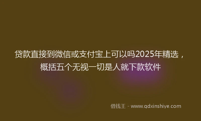 贷款直接到微信或支付宝上可以吗2025年精选，概括五个无视一切是人就下款软件