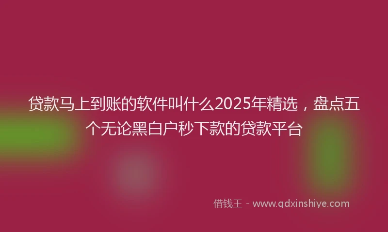 贷款马上到账的软件叫什么2025年精选，盘点五个无论黑白户秒下款的贷款平台