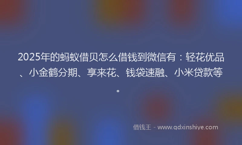 2025年的蚂蚁借贝怎么借钱到微信有：轻花优品、小金鹤分期、享来花、钱袋速融、小米贷款等。