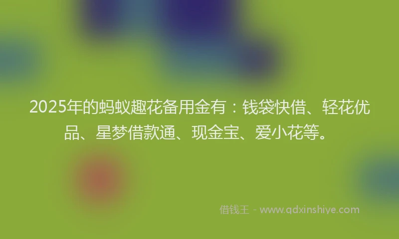 2025年的蚂蚁趣花备用金有：钱袋快借、轻花优品、星梦借款通、现金宝、爱小花等。