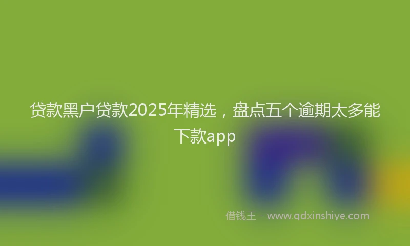 贷款黑户贷款2025年精选，盘点五个逾期太多能下款app