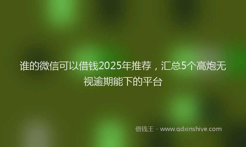 谁的微信可以借钱2025年推荐，汇总5个高炮无视逾期能下的平台