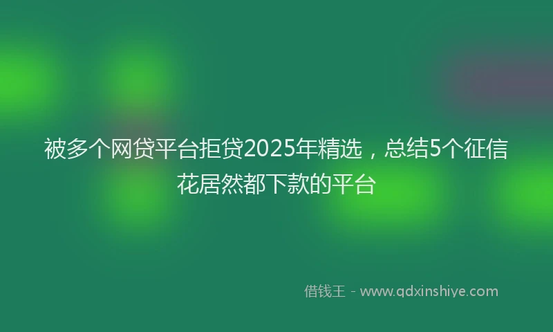 被多个网贷平台拒贷2025年精选，总结5个征信花居然都下款的平台
