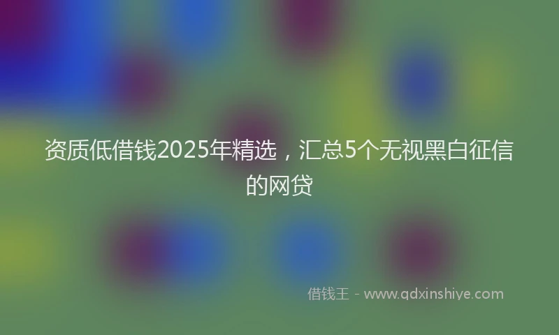 资质低借钱2025年精选，汇总5个无视黑白征信的网贷