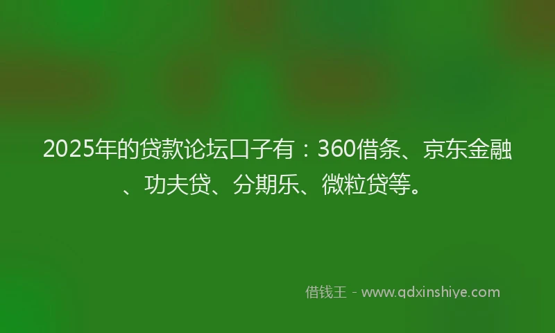 2025年的贷款论坛口子有：360借条、京东金融、功夫贷、分期乐、微粒贷等。