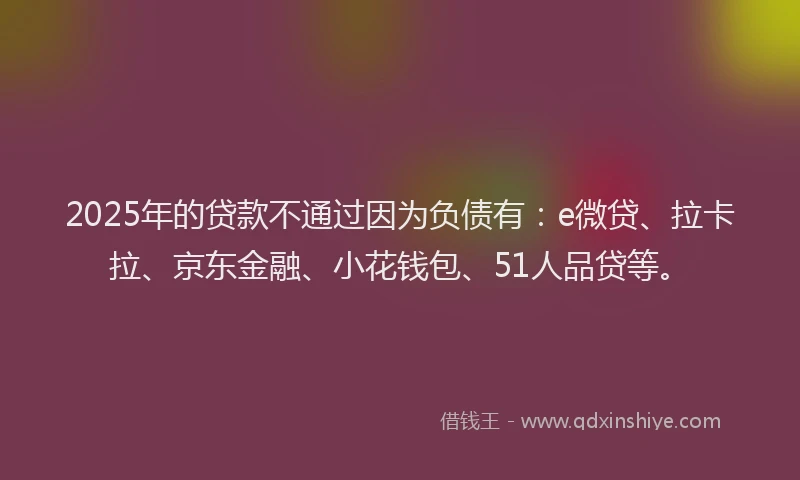 2025年的贷款不通过因为负债有：e微贷、拉卡拉、京东金融、小花钱包、51人品贷等。