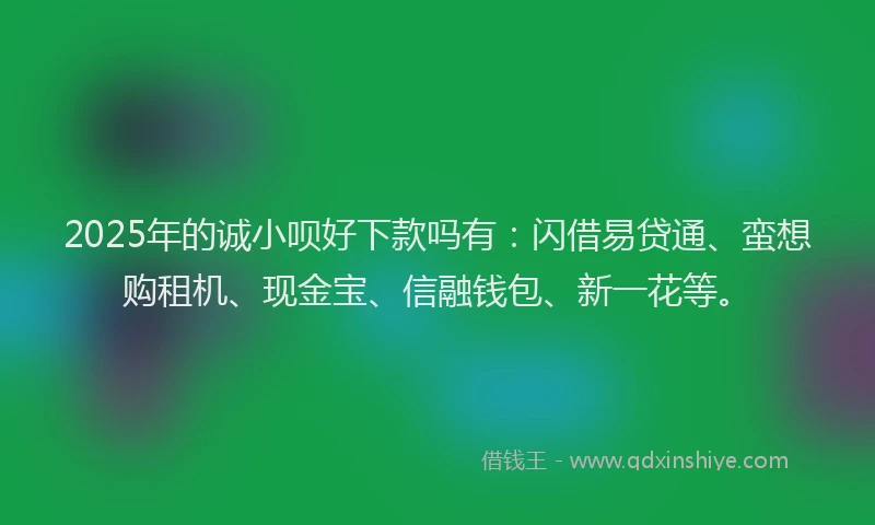 2025年的诚小呗好下款吗有：闪借易贷通、蛮想购租机、现金宝、信融钱包、新一花等。