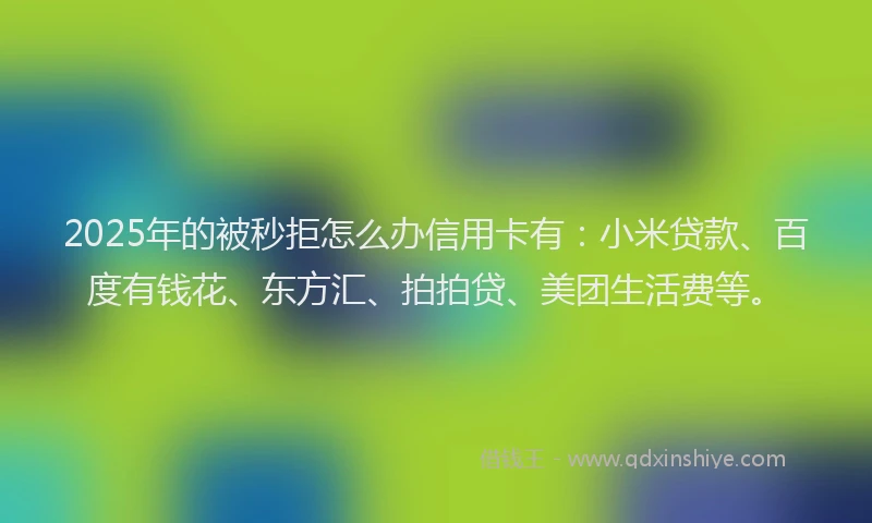 2025年的被秒拒怎么办信用卡有：小米贷款、百度有钱花、东方汇、拍拍贷、美团生活费等。
