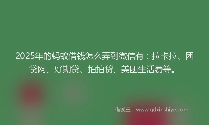 2025年的蚂蚁借钱怎么弄到微信有：拉卡拉、团贷网、好期贷、拍拍贷、美团生活费等。