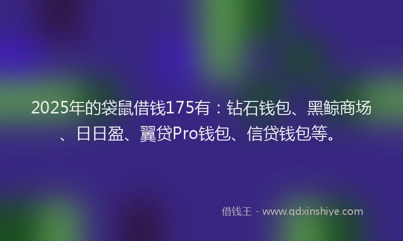 2025年的袋鼠借钱175有：钻石钱包、黑鲸商场、日日盈、翼贷Pro钱包、信贷钱包等。