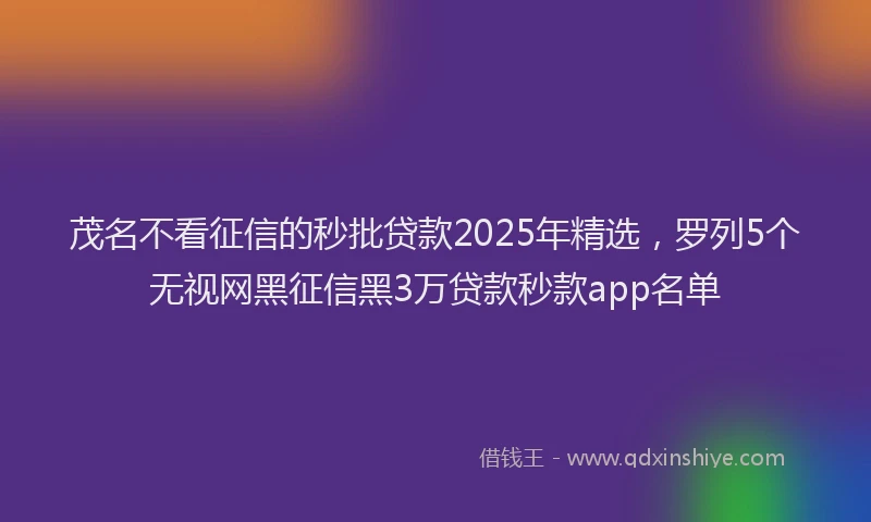 茂名不看征信的秒批贷款2025年精选，罗列5个无视网黑征信黑3万贷款秒款app名单
