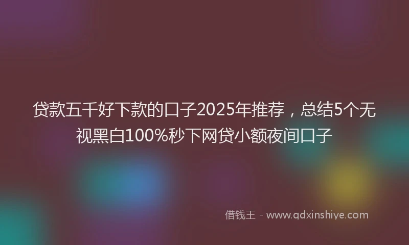 贷款五千好下款的口子2025年推荐，总结5个无视黑白100%秒下网贷小额夜间口子