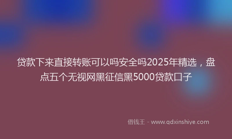 贷款下来直接转账可以吗安全吗2025年精选，盘点五个无视网黑征信黑5000贷款口子