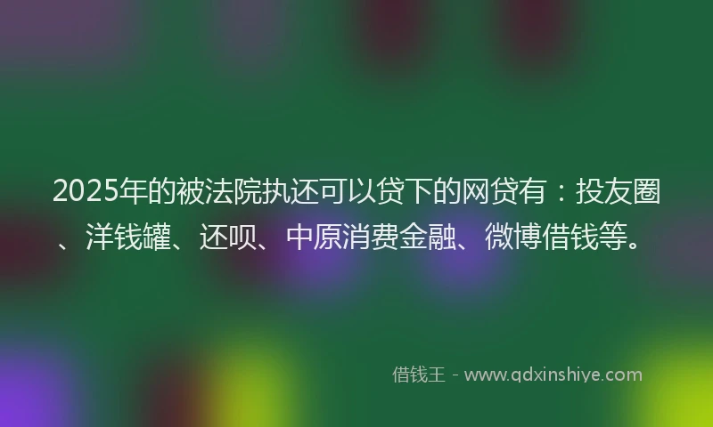 2025年的被法院执还可以贷下的网贷有：投友圈、洋钱罐、还呗、中原消费金融、微博借钱等。