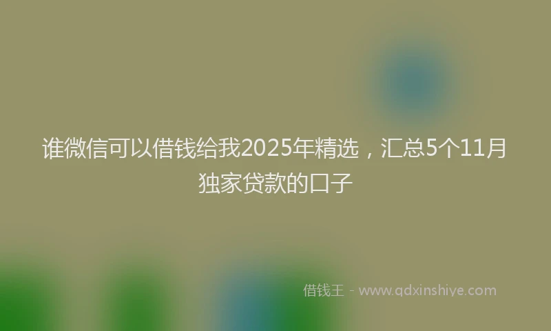 谁微信可以借钱给我2025年精选，汇总5个11月独家贷款的口子