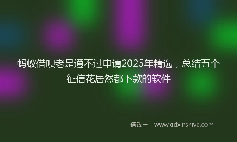 蚂蚁借呗老是通不过申请2025年精选，总结五个征信花居然都下款的软件