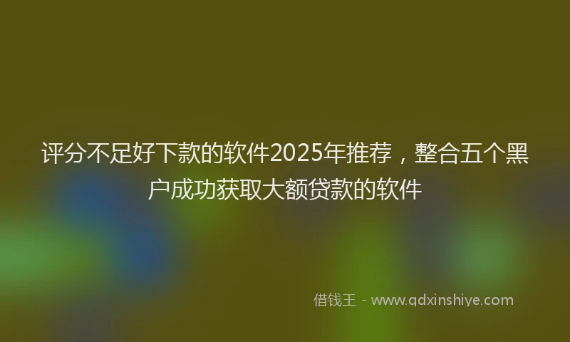 评分不足好下款的软件2025年推荐，整合五个黑户成功获取大额贷款的软件