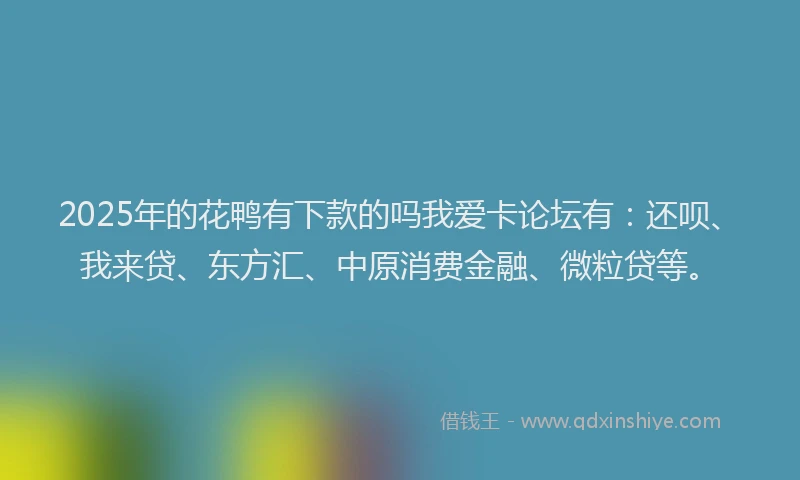 2025年的花鸭有下款的吗我爱卡论坛有：还呗、我来贷、东方汇、中原消费金融、微粒贷等。