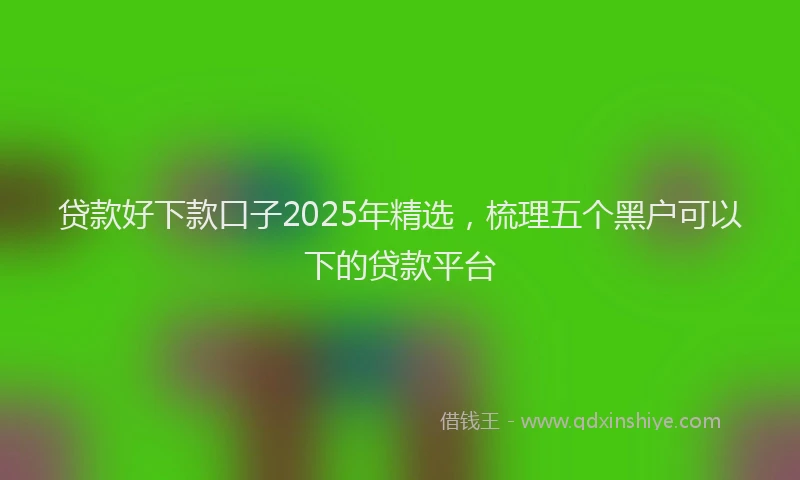 贷款好下款口子2025年精选，梳理五个黑户可以下的贷款平台