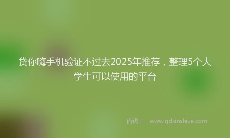贷你嗨手机验证不过去2025年推荐，整理5个大学生可以使用的平台