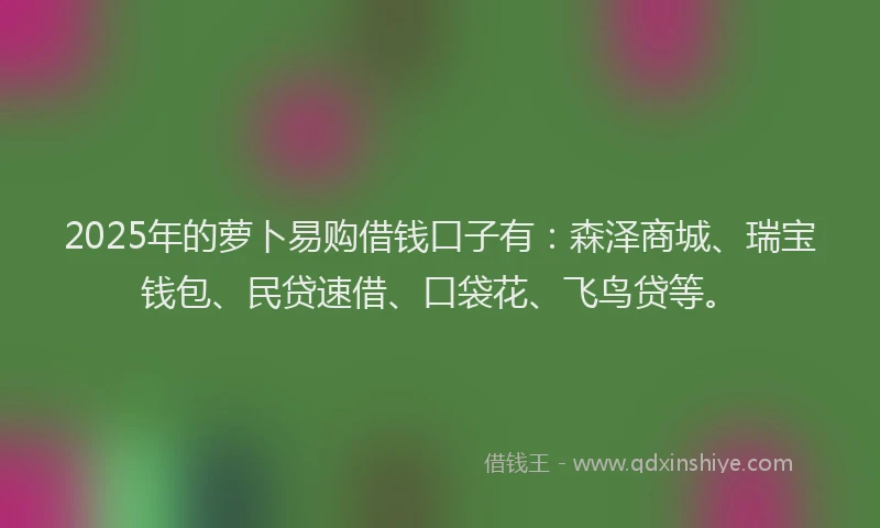 2025年的萝卜易购借钱口子有：森泽商城、瑞宝钱包、民贷速借、口袋花、飞鸟贷等。
