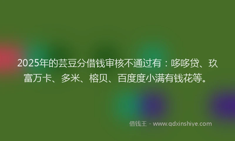 2025年的芸豆分借钱审核不通过有：哆哆贷、玖富万卡、多米、榕贝、百度度小满有钱花等。