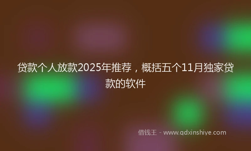 贷款个人放款2025年推荐，概括五个11月独家贷款的软件