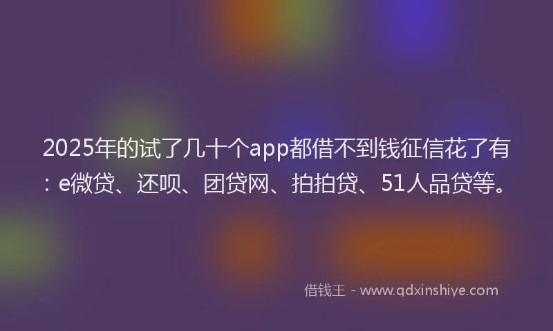 2025年的试了几十个app都借不到钱征信花了有：e微贷、还呗、团贷网、拍拍贷、51人品贷等。