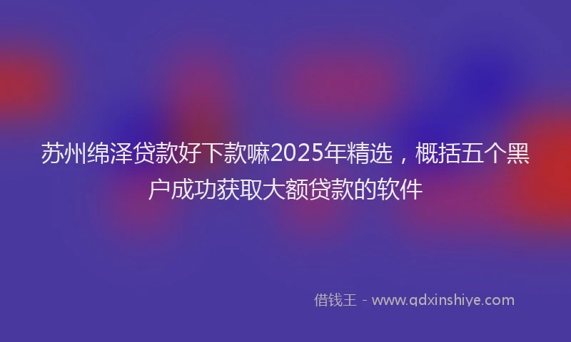 苏州绵泽贷款好下款嘛2025年精选，概括五个黑户成功获取大额贷款的软件