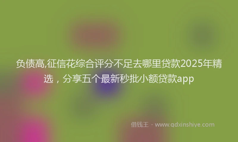 负债高,征信花综合评分不足去哪里贷款2025年精选，分享五个最新秒批小额贷款app