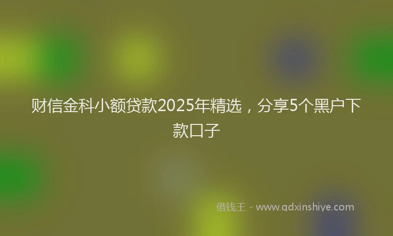 财信金科小额贷款2025年精选，分享5个黑户下款口子