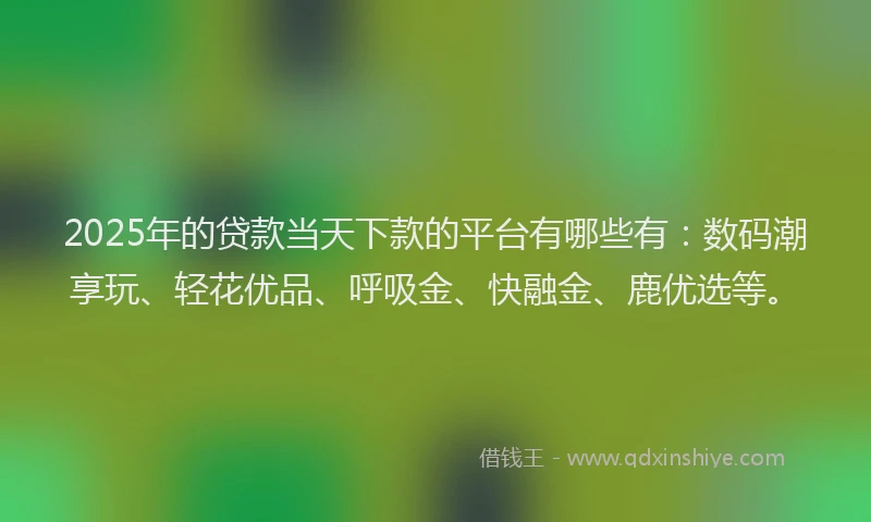 2025年的贷款当天下款的平台有哪些有：数码潮享玩、轻花优品、呼吸金、快融金、鹿优选等。