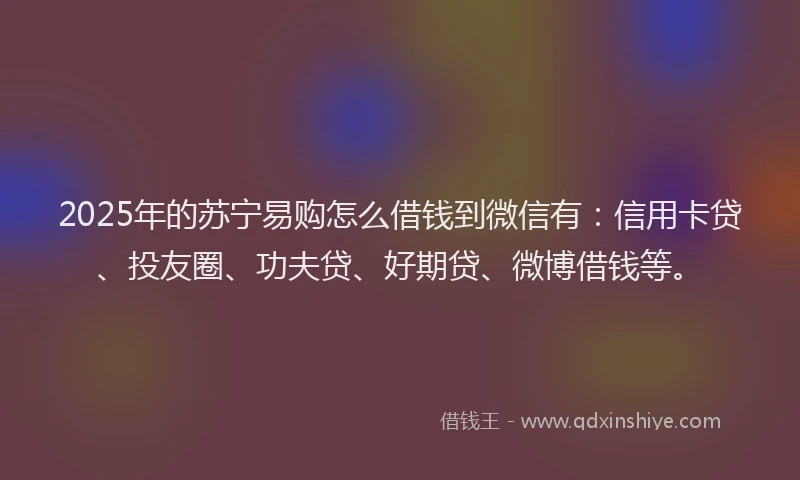 2025年的苏宁易购怎么借钱到微信有：信用卡贷、投友圈、功夫贷、好期贷、微博借钱等。