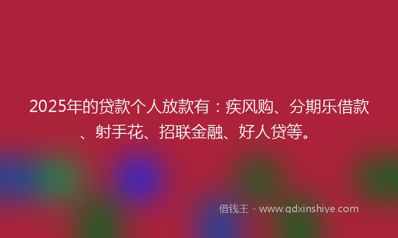 2025年的贷款个人放款有：疾风购、分期乐借款、射手花、招联金融、好人贷等。