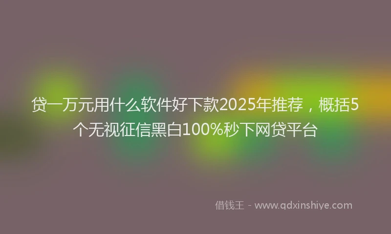 贷一万元用什么软件好下款2025年推荐，概括5个无视征信黑白100%秒下网贷平台