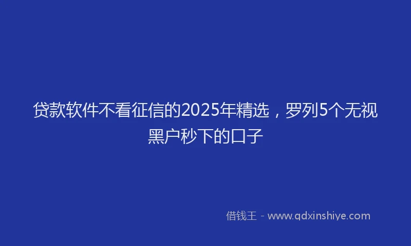 贷款软件不看征信的2025年精选，罗列5个无视黑户秒下的口子