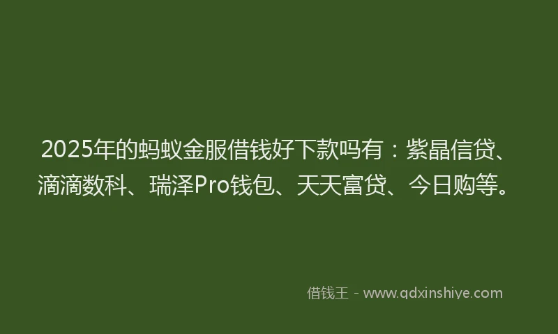 2025年的蚂蚁金服借钱好下款吗有：紫晶信贷、滴滴数科、瑞泽Pro钱包、天天富贷、今日购等。