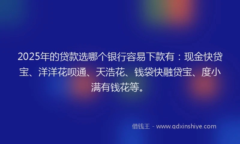 2025年的贷款选哪个银行容易下款有：现金快贷宝、洋洋花呗通、天浩花、钱袋快融贷宝、度小满有钱花等。