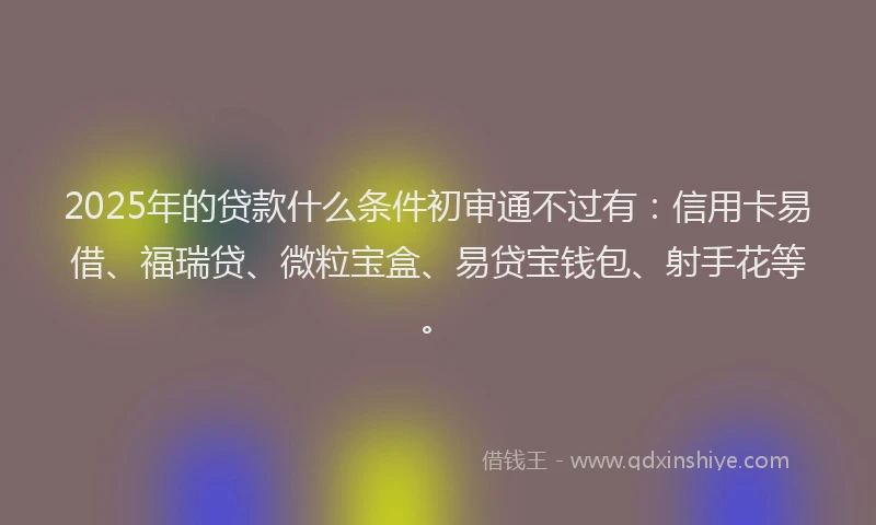 2025年的贷款什么条件初审通不过有：信用卡易借、福瑞贷、微粒宝盒、易贷宝钱包、射手花等。